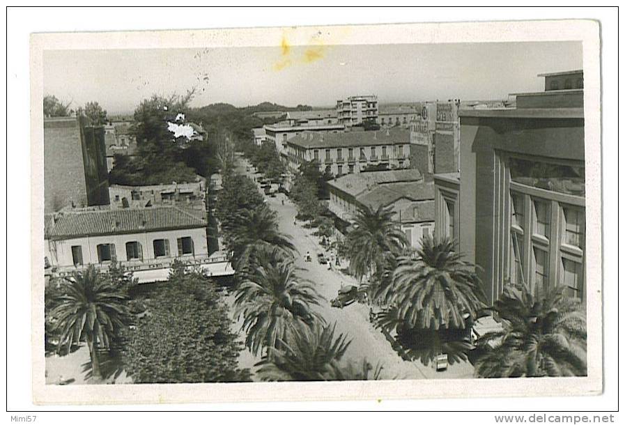 C.P.M. SIDI BEL ABBES - Boulevard de la République