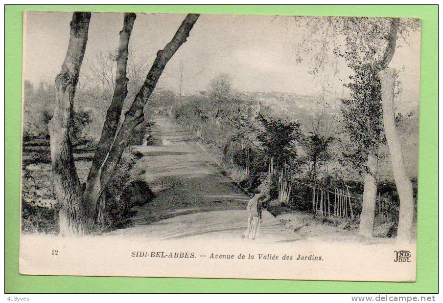SIDI BEL ABBES  Avenue de la Vallée des Jardins