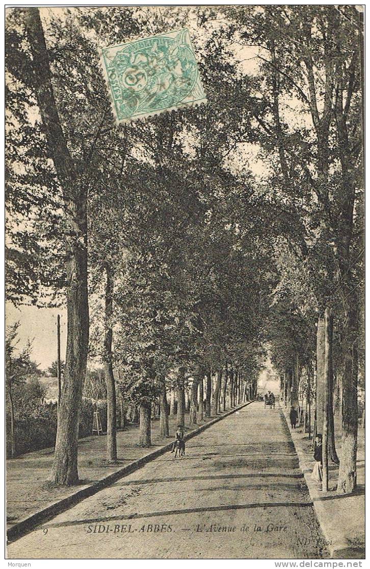 Postal SIDI BEL ABBES (Argelia) 1905