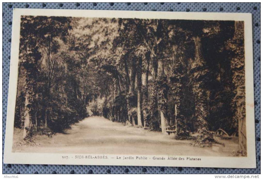 CPA >SIDI BEL ABBES 30-11-1945 >JARDIN PUBLIC ALLEE DES PLATANES >> Algérie en  Ex Colonie Française