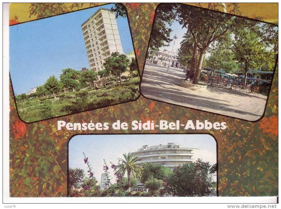SIDI BEL ABBES -  3 vues  - n°  D 10