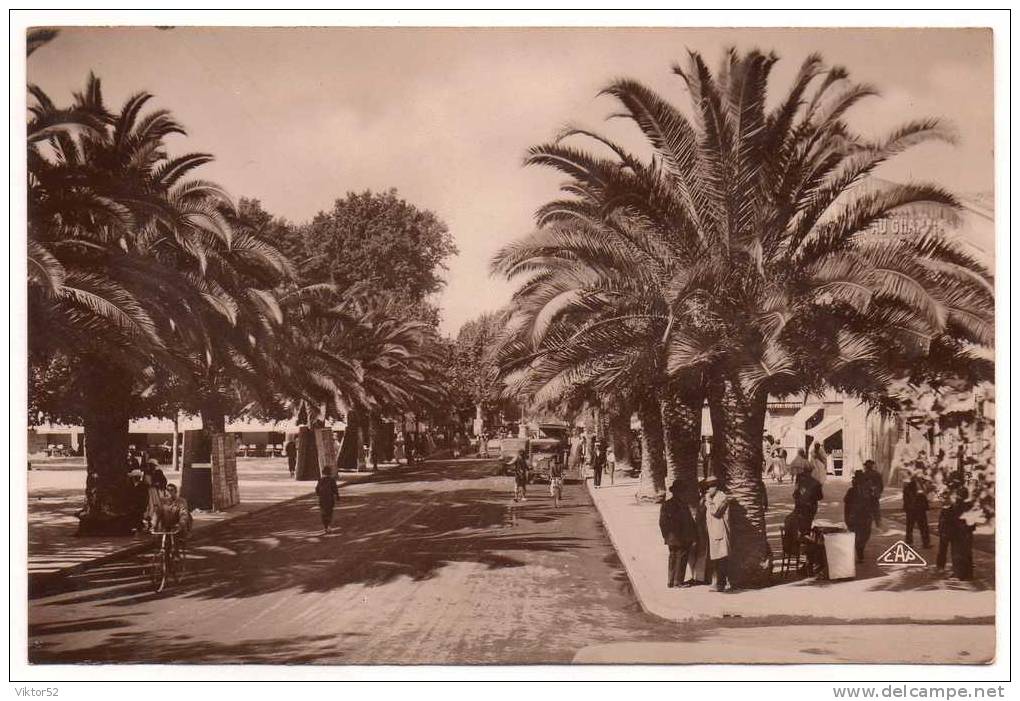 SIDI BEL ABBES    BOULEVARD DE LA REPUBLIQUE