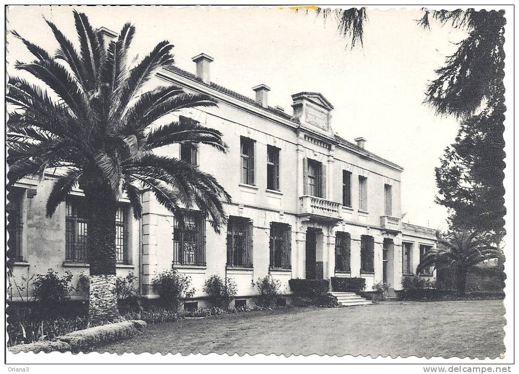 --SIDI BEL ABES -- ECOLE DE SONIS --- CARTE PHOTO --  -- --