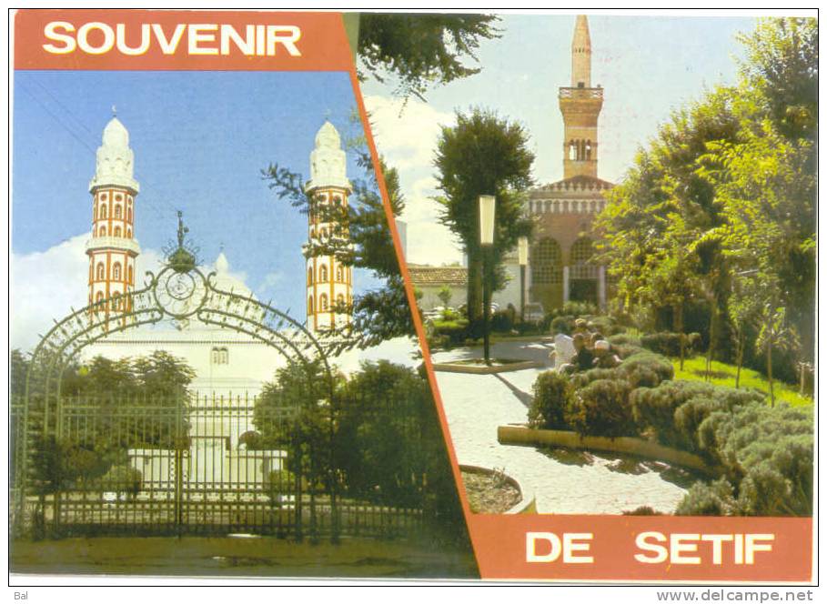Algérie - Setif  souvenir