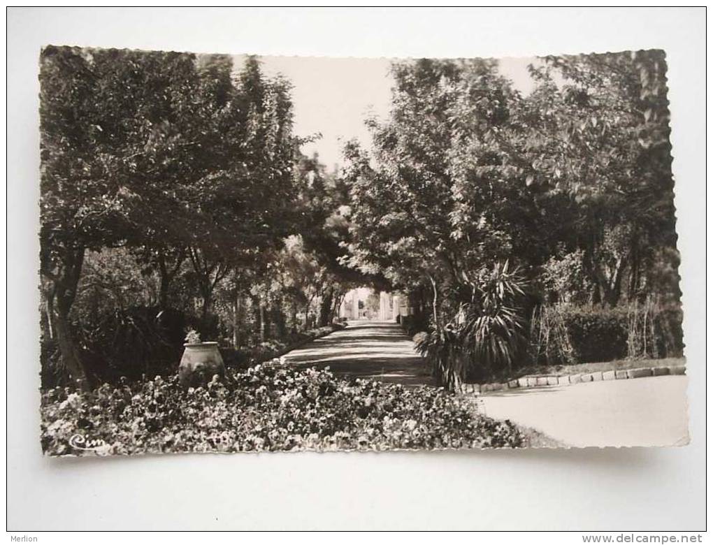 Algerie - Sétif - Jardin d'Orléans     VF    D48021