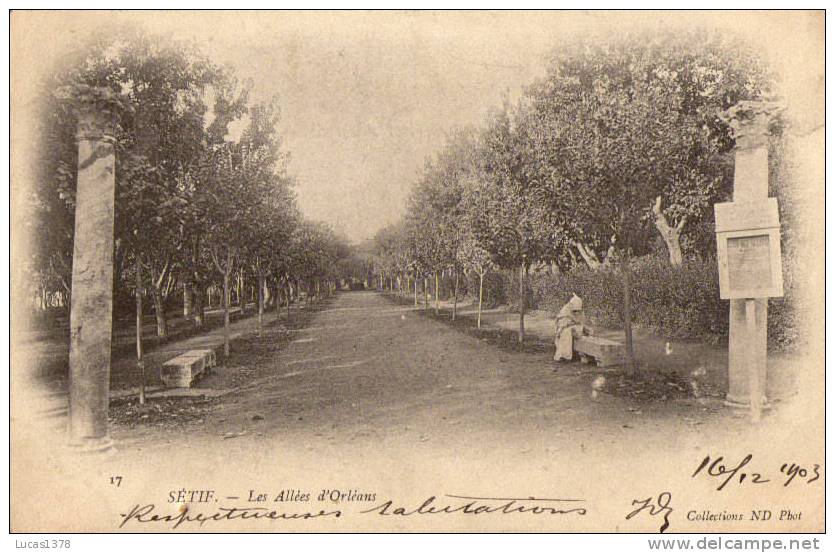 SETIF / LES ALLEES D ORLEANS /  /DOS NON DIVISE 1903 /