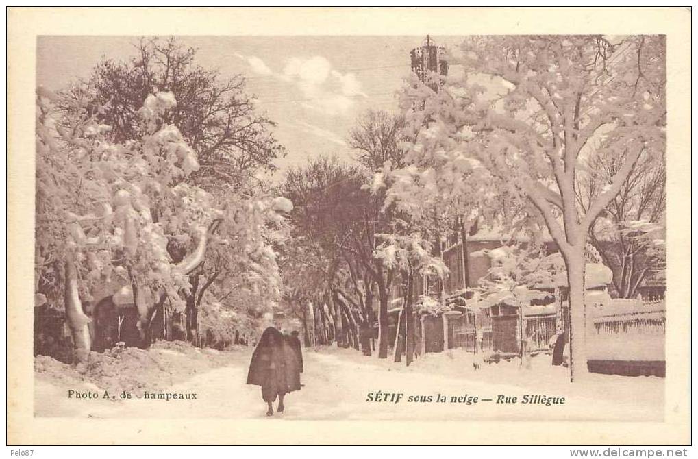 CPA   Sétif sous la neige Rue Sillègue  (animée)   B403