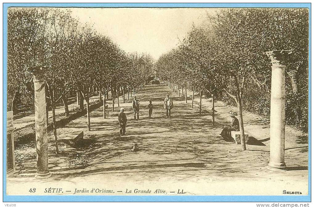 CARTE POSTALE 43 SETIF JARDINS D'ORLEANS LA GRANDE ALLEE . LL . SELECTA