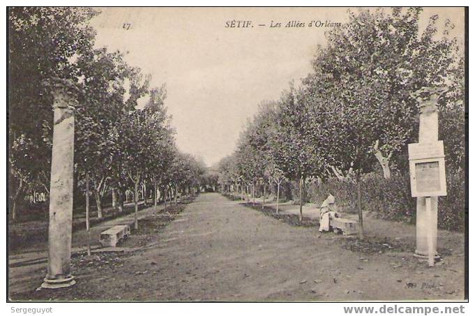 Sétif  les allées d'Orléans - (c1086)