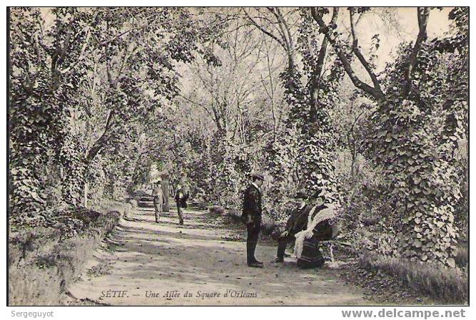 Sétif  une allée du jardin d´Orléans - (c1083)