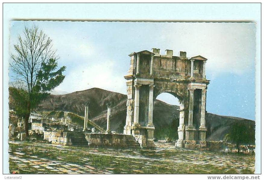 Environs de Sétif / DJEMILA