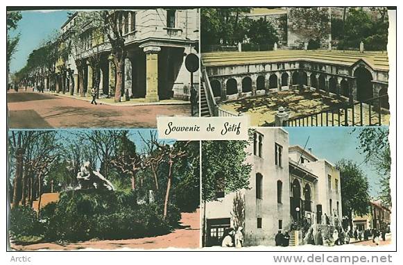 Souvenir de Setif