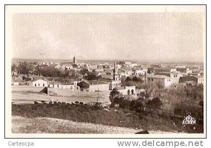 Setif vue generale