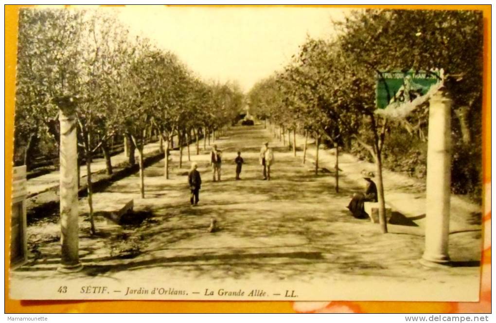 Algérie - CP n° 177K - Sétif, Jardin d'Orléans, La Grande Allée, animée  - CPA/E 1911