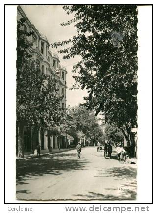 CPSM SETIF ALGERIE avenue G. CLEMENCEAU petite animation