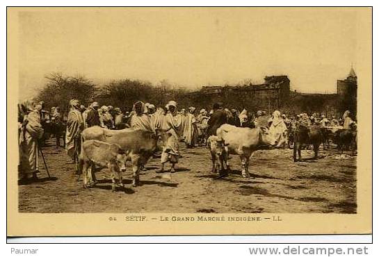 Sétif            Marché aux Bestiaux