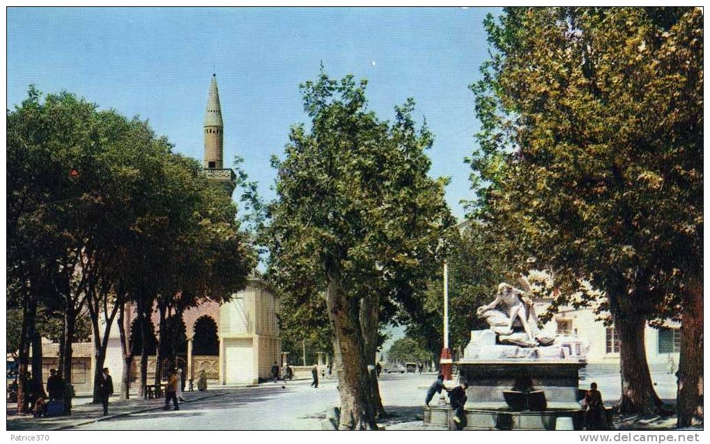 ALGERIE SETIF - La Mosquée et la fontaine