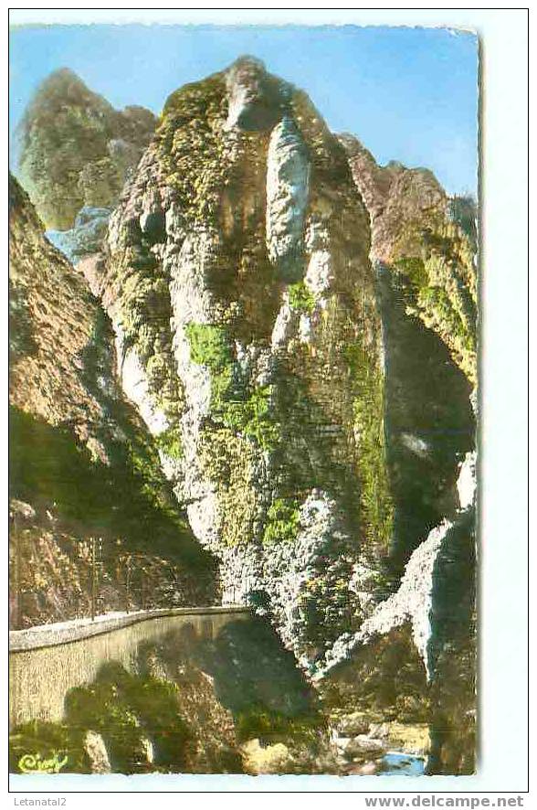 Env. de Sétif / GORGES DE KERRATA / ????