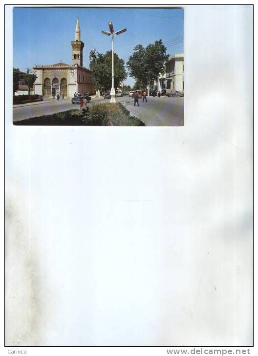 CP MODERNE ALGERIE SETIF AV DU 8 MAI 1945