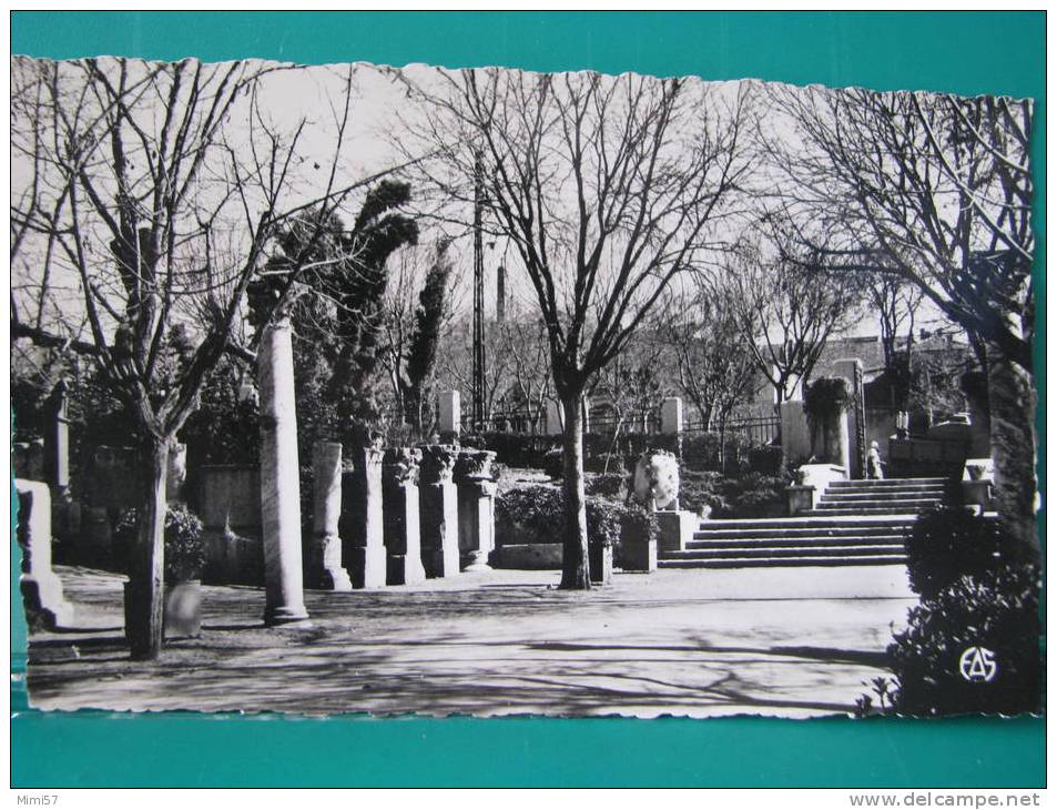 C.P.S.M. ALGERIE - SETIF Le Square