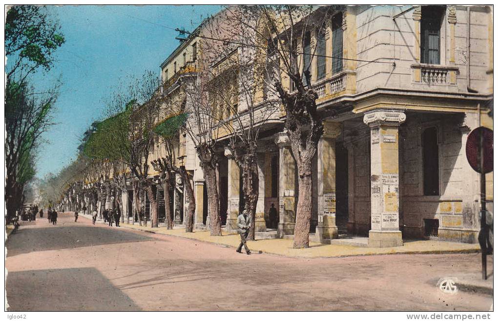 SETIF - L´ Avenue Clemenceau