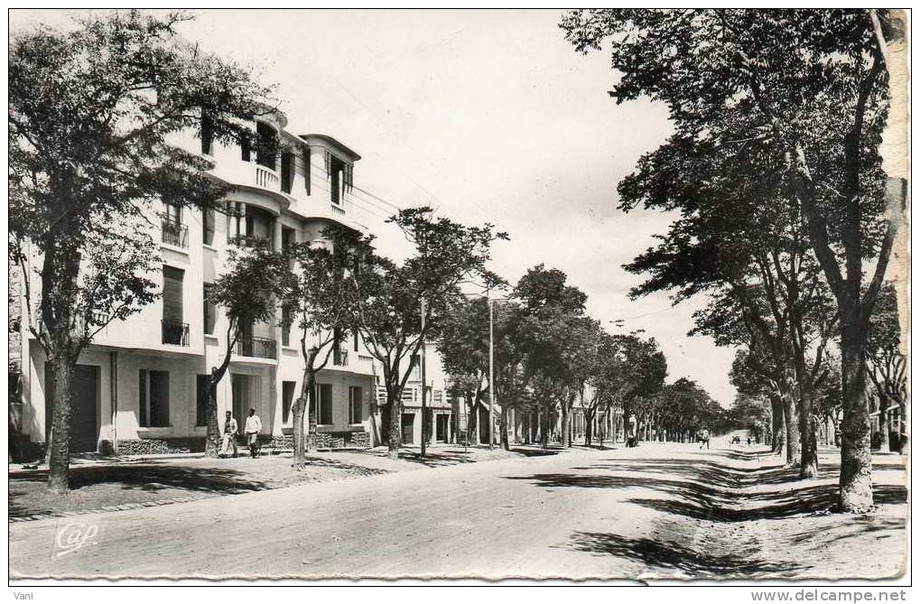 ALGERIE - SETIF -- Avenue Jean jaurès -  SM - Petit Format -