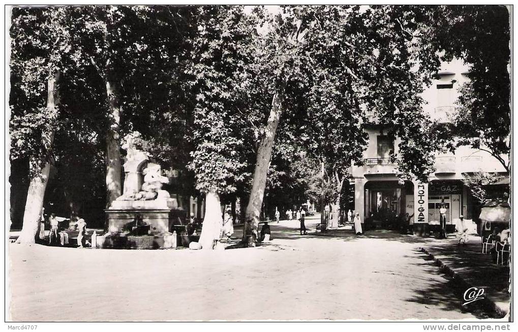 SETIF Algérie Avenue Clémenceau en date de 1962 Edition CAP Carte dentelée