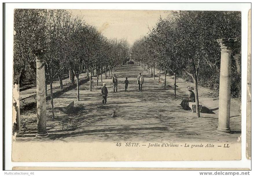 AFRIQUE - ALGERIE - SETIF - Jardin d'Orléans. La Grande Allée.