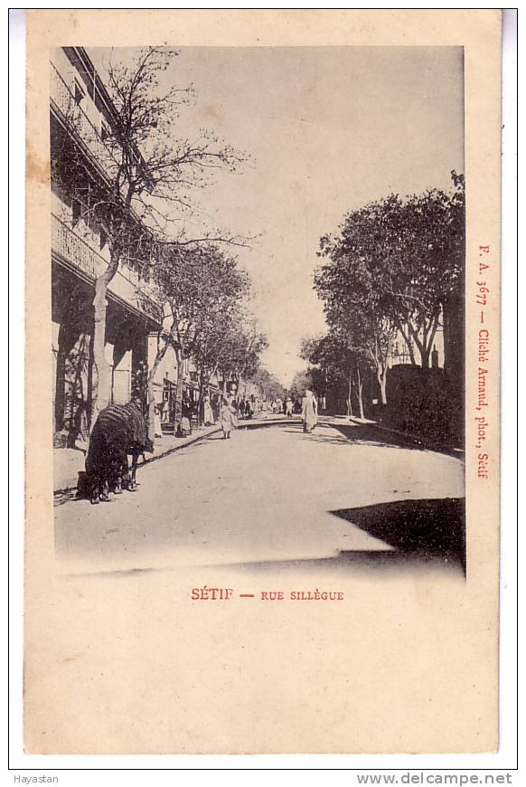 SETIF - RUE SILLEGUE