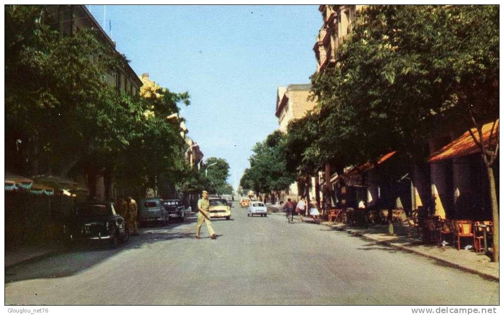 SETIF....AVENUE GEORGES CLEMENCEAU....CPSM PETIT FORMAT ANIMEE