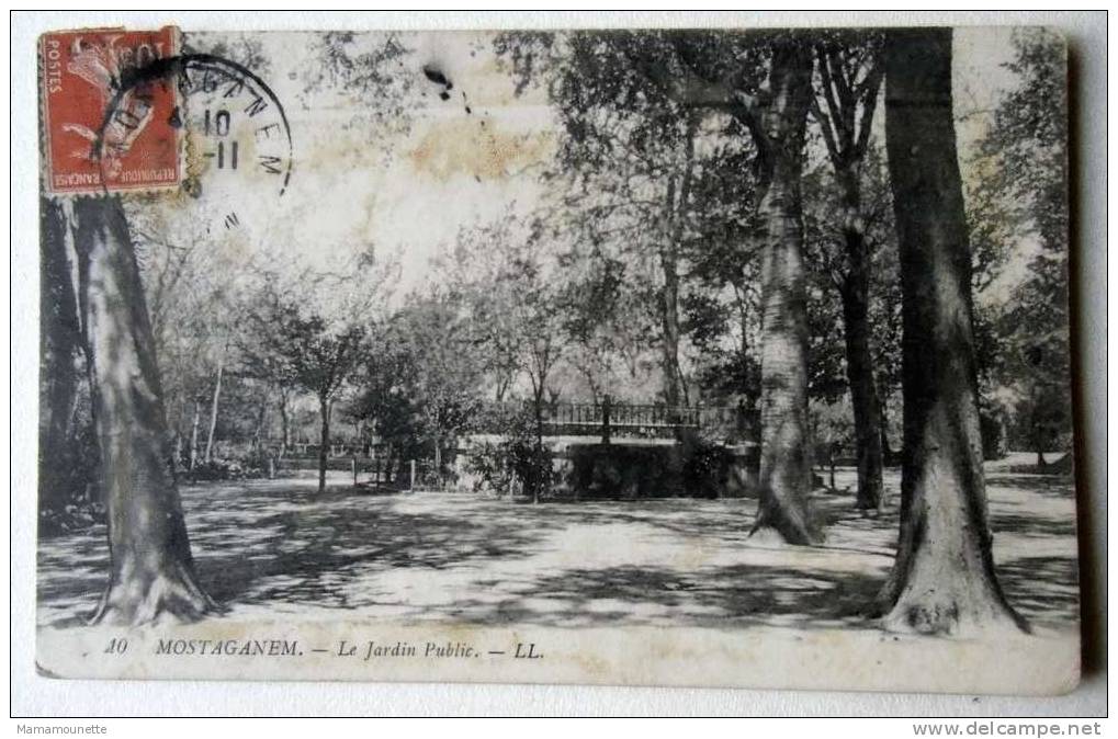 Algérie - CP N° 664G - Mostaganem, Le Jardin Public - CPA/E (CP molle)