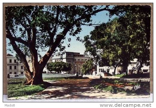 cpsm Mostaganem Algérie animée - le Jardin Public , avec rue et belles maisons -