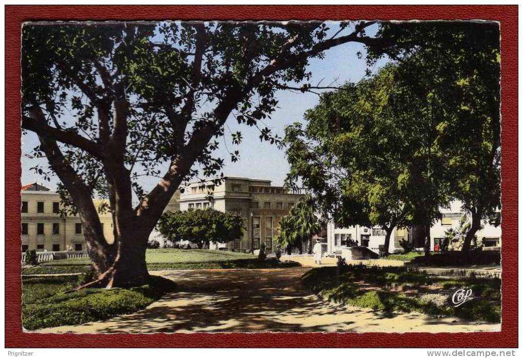 ALGERIE / ALGERIEN  Mostaganem   Le Jardin Public