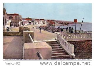 LA SALAMANDRE  ENV DE MOSTAGANEM  (ORAN)