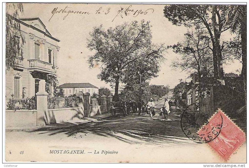 MOSTAGANEM    LA PEPINIERE