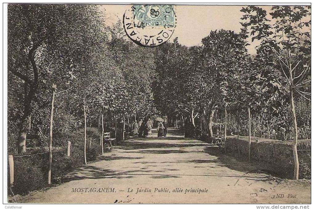 MOSTAGANEM  LE JARDIN PUBLIC ALLEE PRINCIPALE