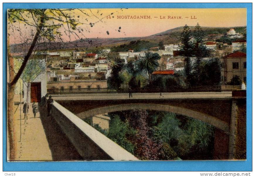 14 Mostaganem le ravin