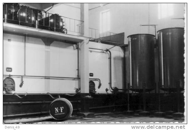 CPSM MOSTAGANEM caves NASTORG  viticulture et commerce du vin en Algérie