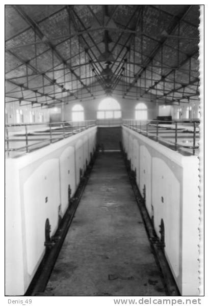 CPSM MOSTAGANEM caves NASTORG  viticulture et commerce du vin en Algérie