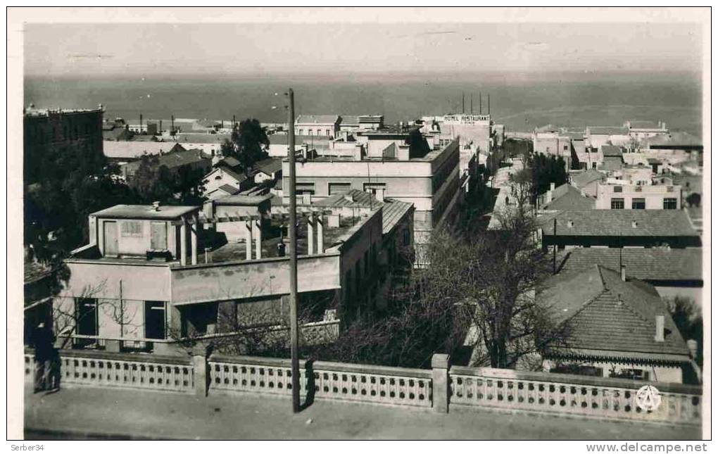 ALGERIE  - DZ-O36  - MOSTAGANEM  - LE QUARTIER DE L' AVENUE RAYNAL