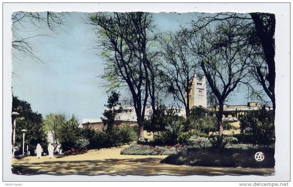 Q12 - ALGERIE - MOSTAGANEM - dans le jardin public