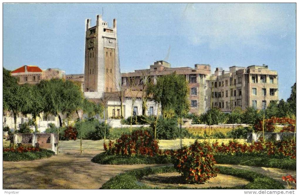 ALGERIE / ALGERIEN   MOSTAGANEM - Un coin des Jardins et L' Hotel de Ville