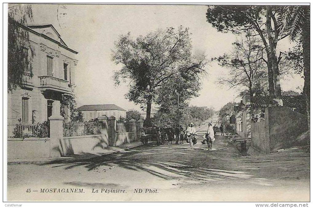 MOSTAGANEM    LA PEPINIERE  2