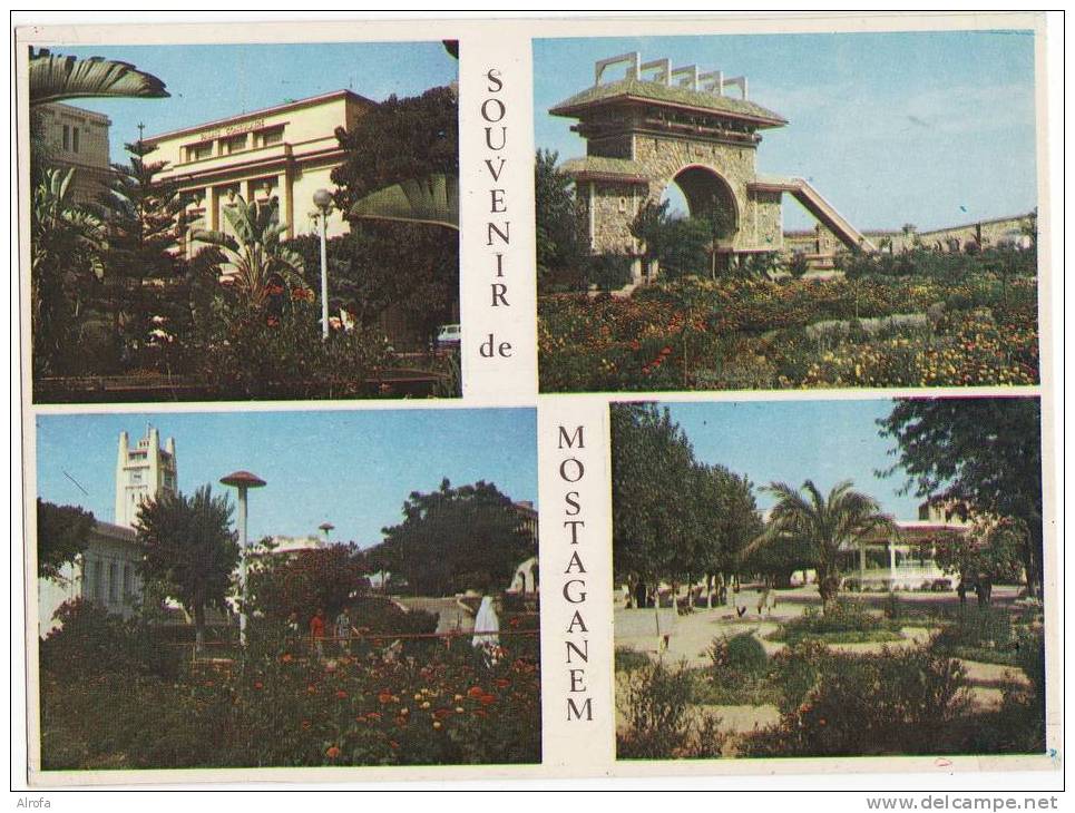 MOSTAGANEM - Souvenir  -