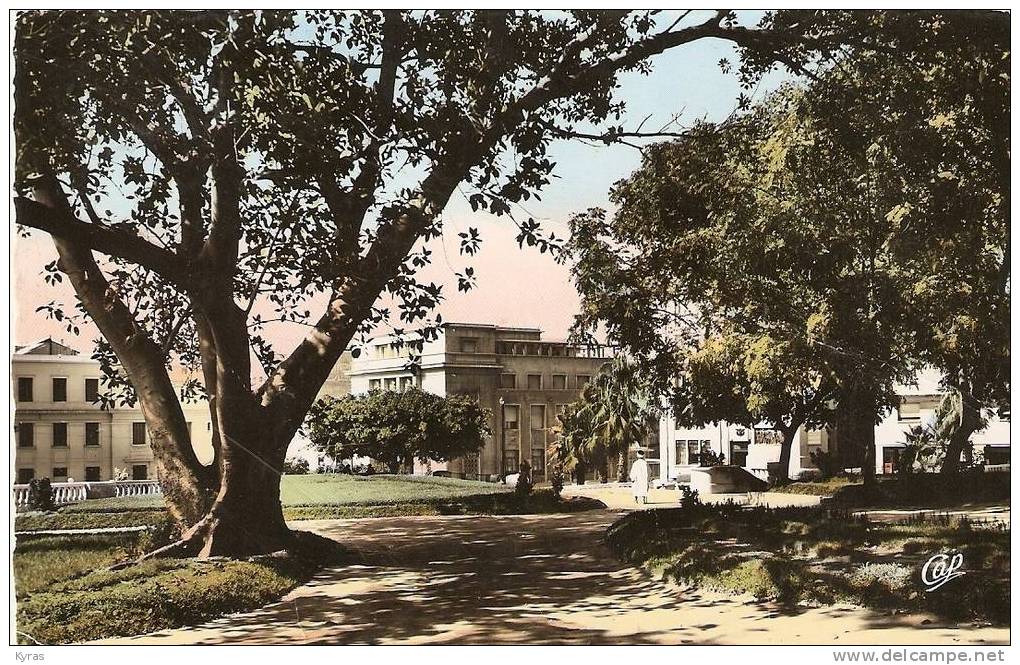 CPSM 9X14 . MOSTAGANEM . LE JARDIN PUBLIC