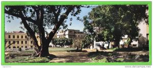 C.P.A. - MOSTAGANEM - LE JARDIN PUBLIC ( Dans les années 50 )- 220 X 90 mm