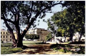 Mostaganem - Jardin Public