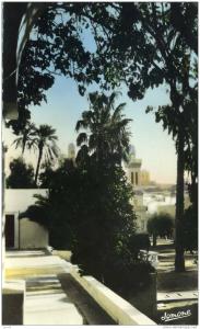 LAGHOUAT - Jardin de la commune mixte