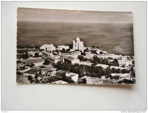 Algérie - Alger -  - cca 1950´s     VF  -   D39891