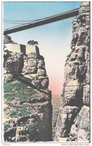 ALGERIE - CONSTANTINE - CPSM dentelée. Les Gorges de Sidi M'Cid. Bon état